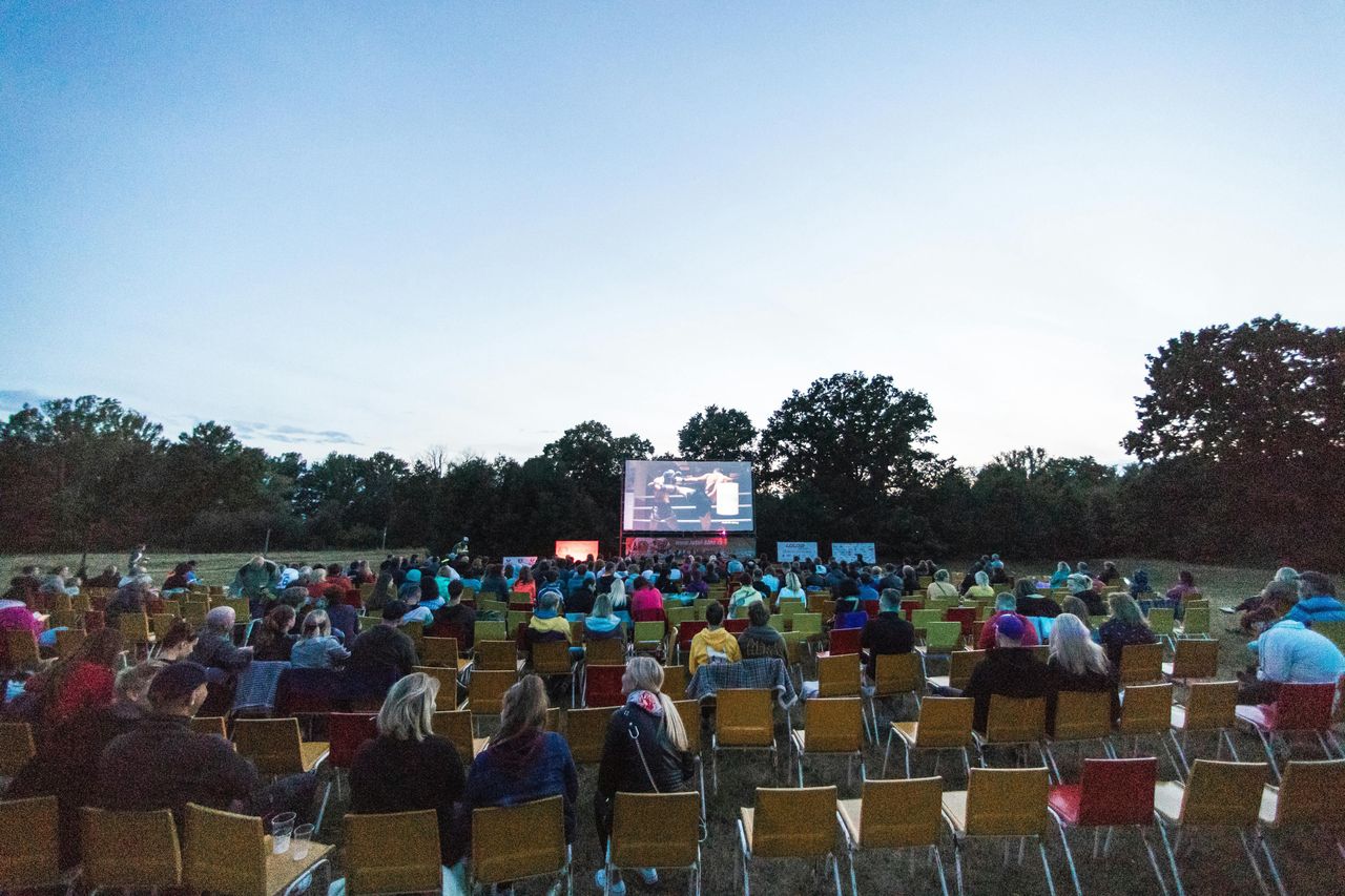 Łódzkie: Kino na Leżakach. Darmowe seanse filmowe w Bełchatowie, Tomaszowie Mazowieckim, Radomsku i Sieradzu