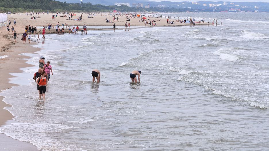 Sinice. Gdzie są zamknięte kąpieliska?