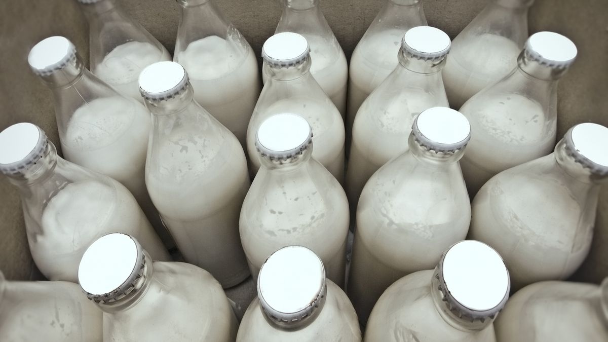 Group of unlabeled glass milk bottles
row of bottled dairy products
rep0rter
Airtight, Canned Food, Healthy Eating, Large Group of Objects, Group of Objects, Milk Bottle, Bottling Plant, Drinking Glass, Lid, Selling, Packing, Pouring, Abundance, White, Glass - Material, Industry, Retail, Close-up, Package, Dairy Product, Drink, Box - Container, Bottle, Food And Drink, Industry, Dairy Products
