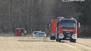 Rudnik: Duża akcja służb. Tajemniczy balon spadł na drzewo