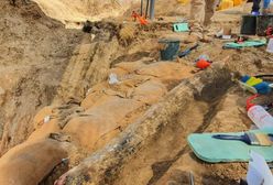 Wyjątkowe odkrycie z czasów prehistorii. Ten gatunek żył na terenach dzisiejszej Polski