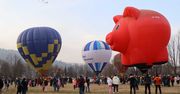 Małopolskie: Festiwal balonów na Podhalu. Latająca świnia i nosorożec