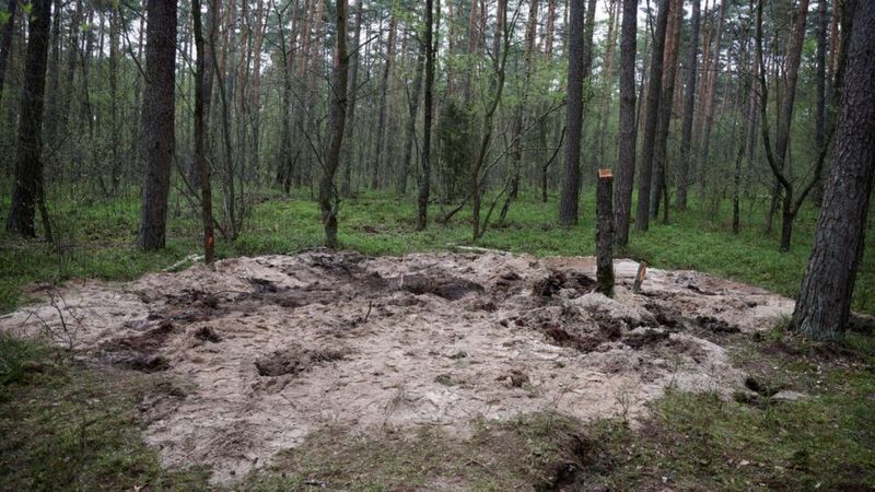 Ліс поблизу Бидгоща, де наприкінці квітня знайшли залишки ракети