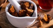 Mówią o nim "grzyb nieśmiertelności". Zaparz jak herbatę, a obniżysz poziom cukru i zbijesz cholesterol