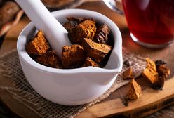 Mówią o nim "grzyb nieśmiertelności". Zaparz jak herbatę, a obniżysz poziom cukru i zbijesz cholesterol