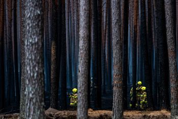 Trwa dogaszanie pożaru w Puszczy Solskiej. Akcja strażaków