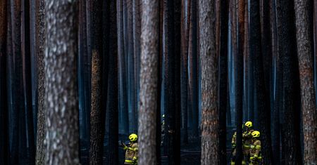 Trwa dogaszanie pożaru w Puszczy Solskiej. Akcja strażaków