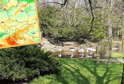 Majówka 2022. Pogoda na długi weekend. Polska wpadła w klin