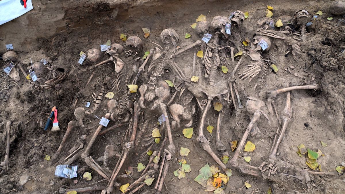 Znaleźli bardzo dużą zbiorową mogiłę 