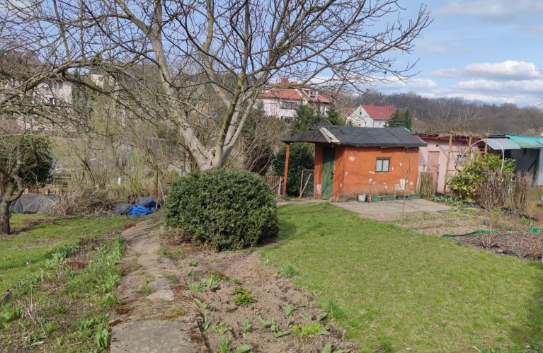 Podpalił twarz zapalniczką. Makabryczne sceny na ogródkach działkowych