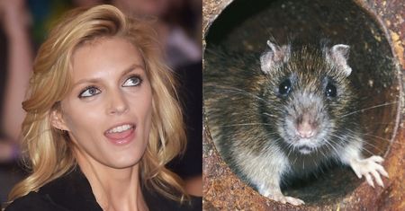 Anja Rubik pozuje we włoskim "Vogue'u" ZE SZCZURAMI na głowie (ZDJĘCIA)