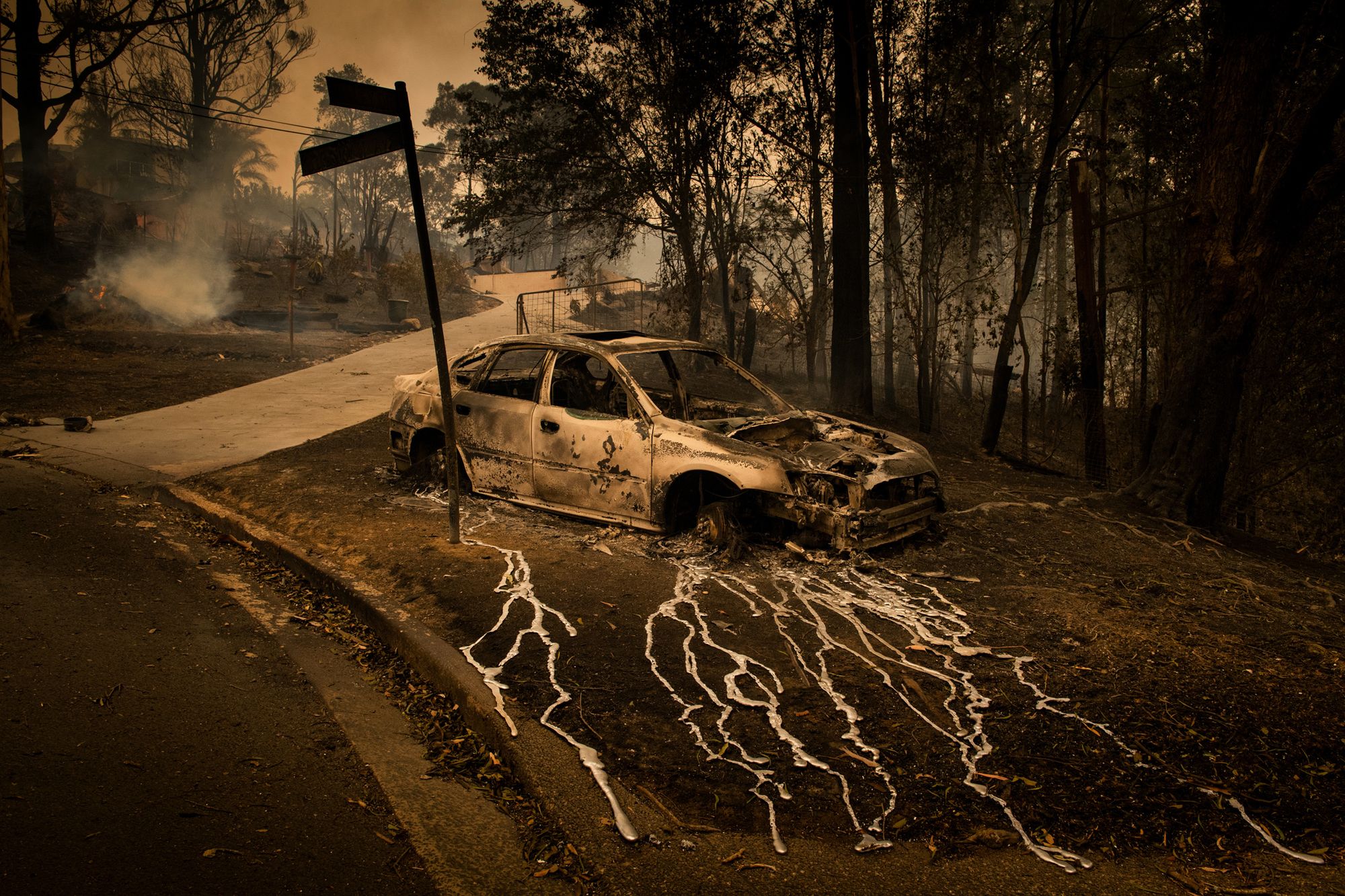 Znamy nazwiska nominowanych do World Press Photo 2020. Jest wśród nich Tomek Kaczor 143