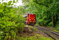 Bytom. Pomysł na weekend. Wąskotorówką do Tarnowskich Gór