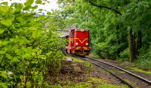 Bytom. Pomysł na weekend. Wąskotorówką do Tarnowskich Gór