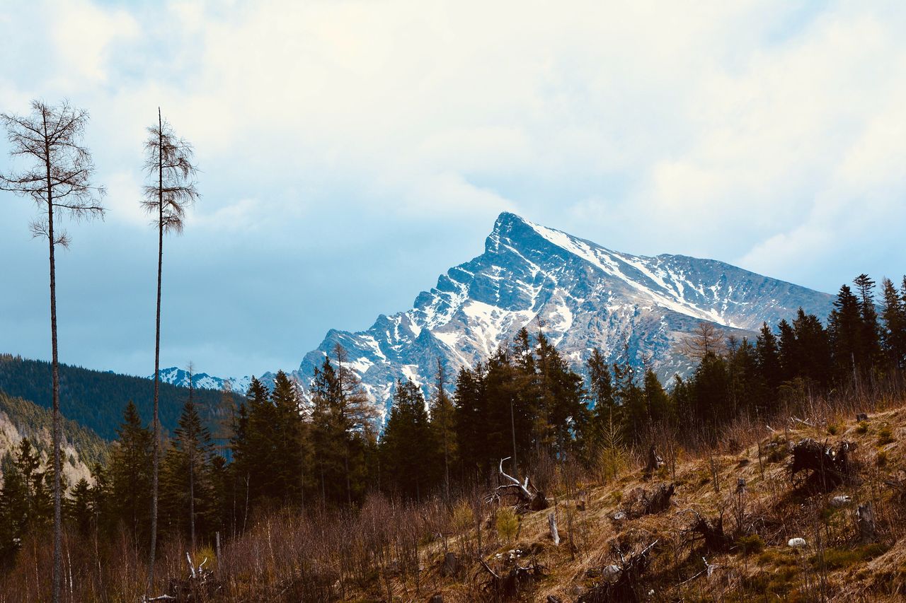 Na górze Malnik w Muszynie powstanie wieża widokowa z widokiem na Tatry Słowackie