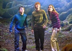 TVN Harry Potter i Zakon Feniksa