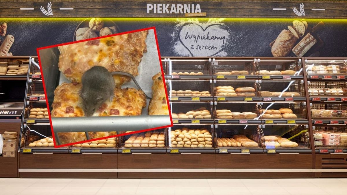 Mysz w Biedronce