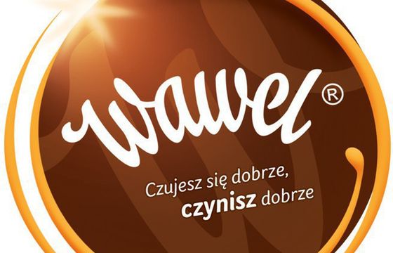 Wawel wybiera dom mediowy