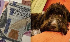 Odzyskali pożarty majątek. Każdy strzępek prali i żmudnie sklejali