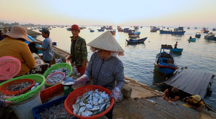 Wszystkie kolory świata 5