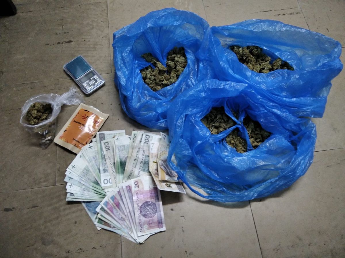 Warszawa. Policjanci znaleźli marihuanę