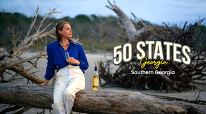 50 States Georgia