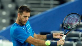 Juan Martin del Potro wrócił do miejsca swojej chwały