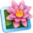 LilyView icon