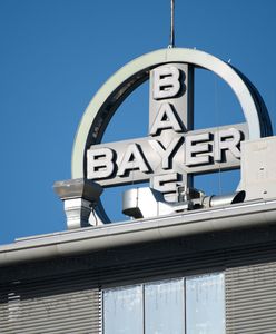 Rodziny ofiar II wojny światowej żądają odszkodowań. Pozwana firma Bayer