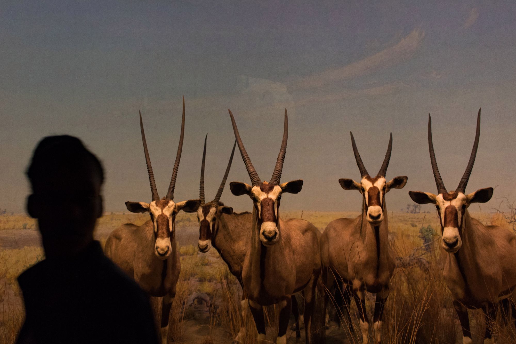 Uliczne rozmowy: Maciej Miliszkiewicz 2