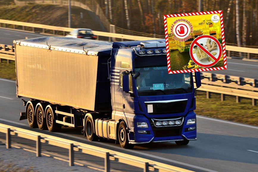 Prawie 22 tys. kg żywności z Chin w rękach służb. Oto co wykryto