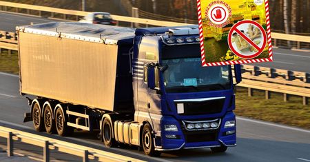 Prawie 22 tys. kg żywności z Chin w rękach służb. Oto co wykryto