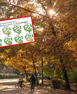 Jest najnowsza prognoza. W połowie miesiąca niespodziewane ocieplenie