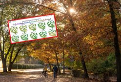 Jest najnowsza prognoza. W połowie miesiąca niespodziewane ocieplenie