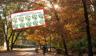 Jest najnowsza prognoza. W połowie miesiąca niespodziewane ocieplenie