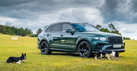 Nazwałeś psa Bentley? Marka ma dla ciebie specjalne zaproszenie