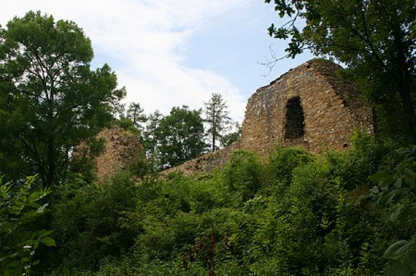 Obraz