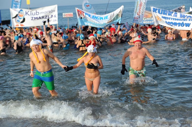 Rekordowa kąpiel morsów. Kołobrzeg czeka na oficjalne wyniki