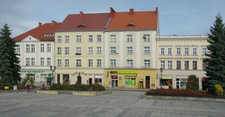 Służby alarmują. W opolskim przekroczono poziom ostrzeżenia dla ozonu