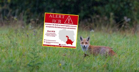 RCB rozsyła nowy alert. Jest informacja o "kapsułce"