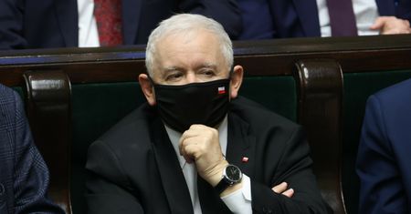 Polityk PiS o opozycji: są jak pies gończy biegający za rzuconą kością