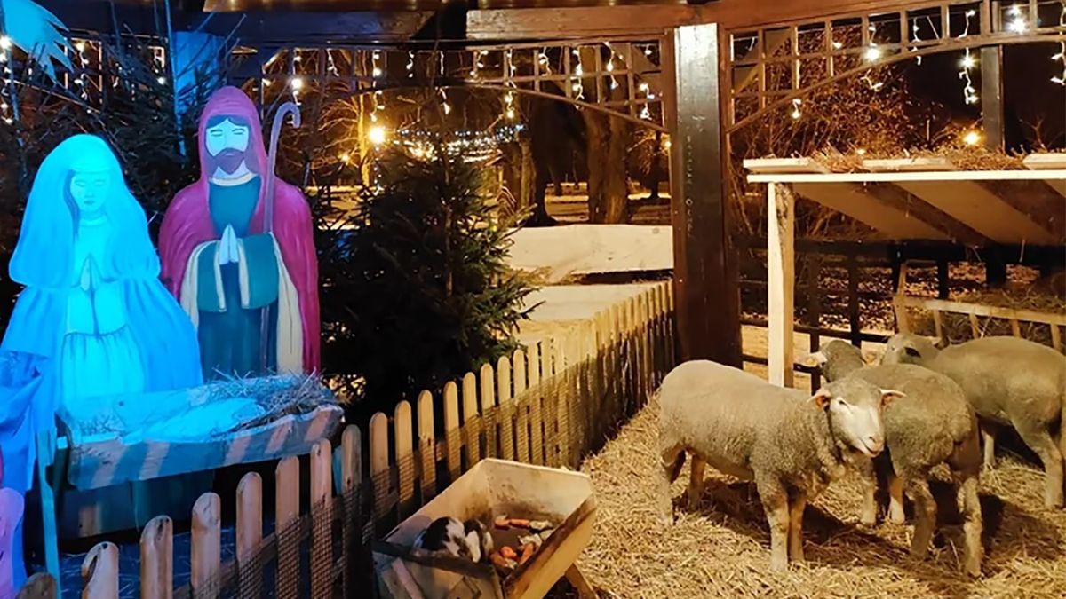 Władze Łęczycy zorganizowały w mieście żywą szopkę bożonarodzeniową