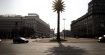 Warszawa: palma przy Rondzie de Gaulle'a ma 10 lat