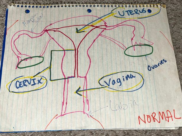 Leanne postanowiła wytłumaczyć, jak wygląda normalna macica