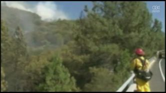 Pożar w okolicy Yosemite; ewakuowano mieszkańców ponad 300 domów