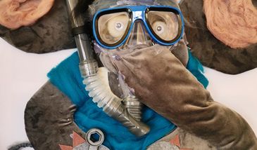 Sosnowiec. Sosnowodek czy Rurcio - Sosnowieckie Wodociągi szukają maskotki