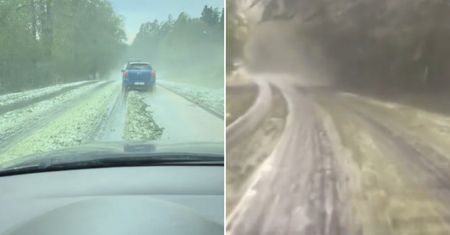 To nie fotomontaż. Tak wyglądały drogi w lasach. Aż zaczęli nagrywać