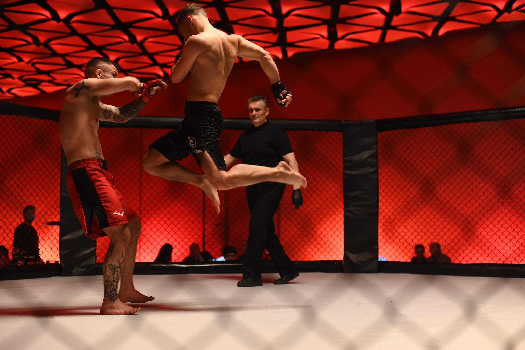 Nowy polski hit Netfliksa. Pokazali walki MMA - Vimarsana News