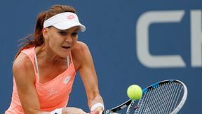 Rekordowa premia nie dla Agnieszki Radwańskiej. Ile Polka zarobi za wystep w Nowym Jorku?