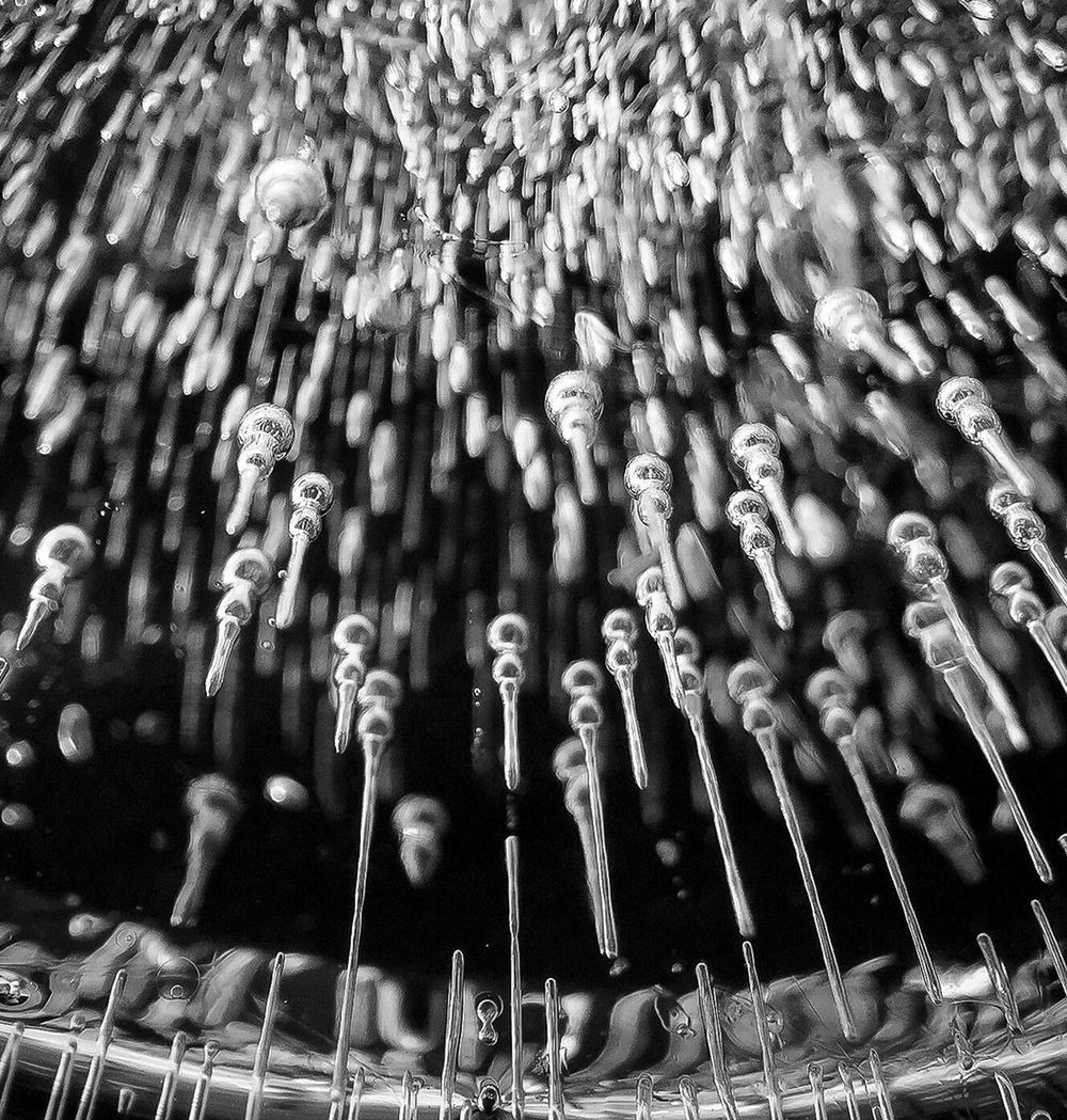 Fotografowanie telefonem może być sztuką – poznajcie zwycięzców Mobile Photography Awards 2015 18